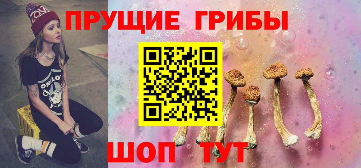 Ногинск  даркнет сайт  Галлюциногенные грибы GOLDEN TEACHER  Вход с VPN  Галлюциногенные грибы мухоморы 